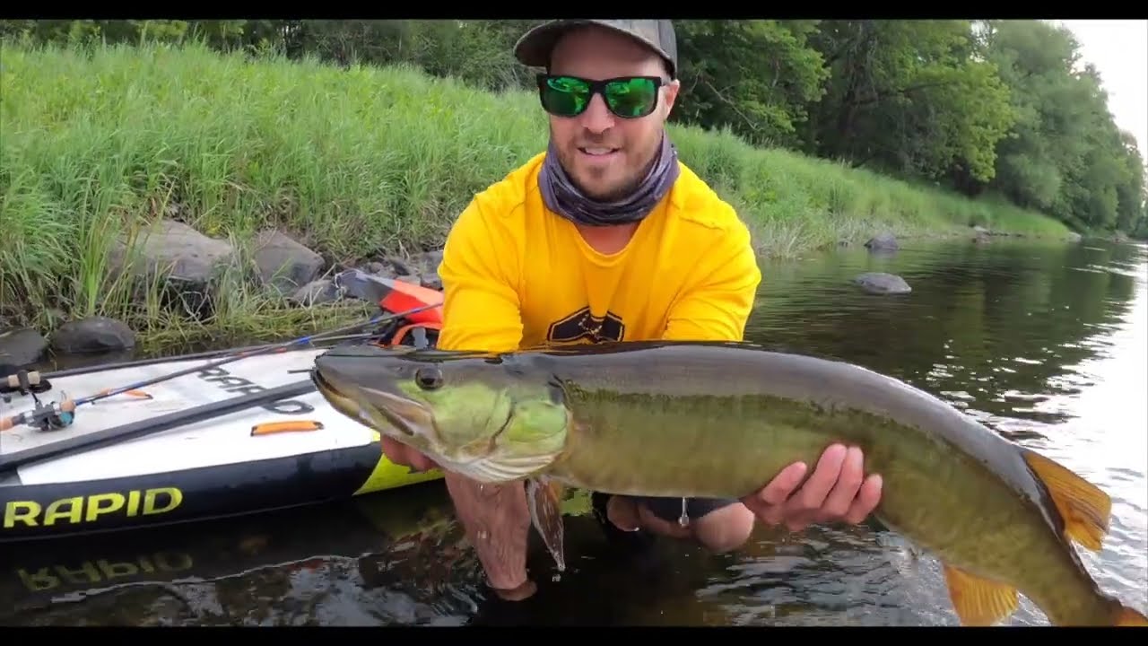 Pêcher le maskinongé en planche à pagaie