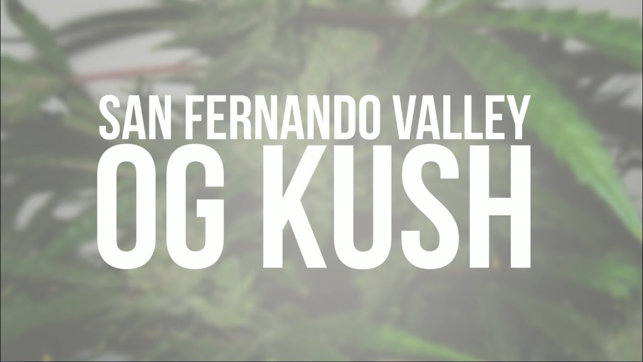 San Fernando Valley OG Kush genetic
