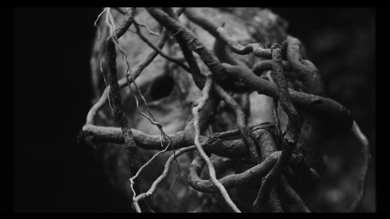 Portrayal of Guilt - Death from Above (Official Music Video)