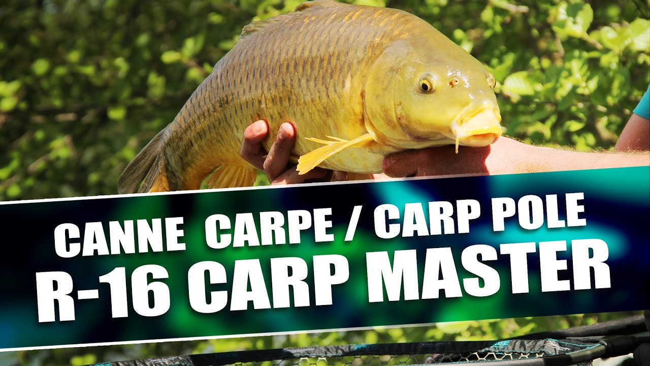 CANNE RIVE - R16 CARP MASTER