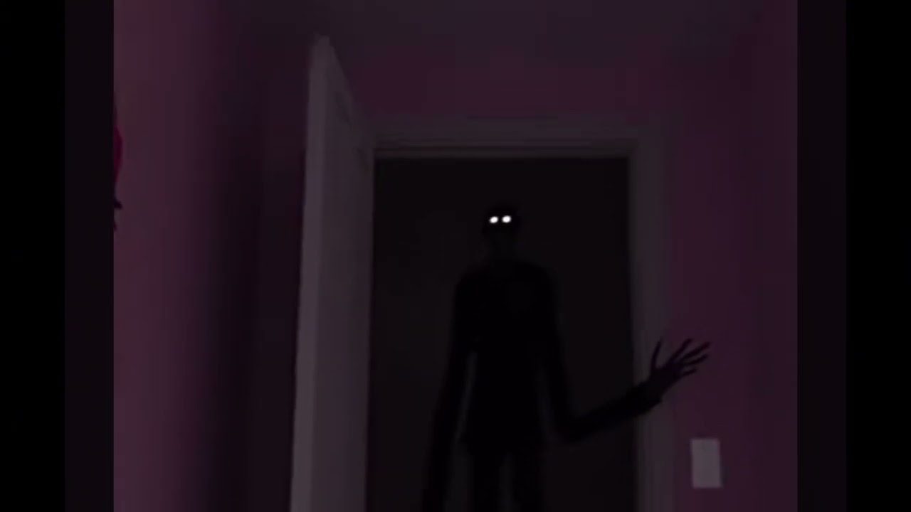 Hide and seek 2