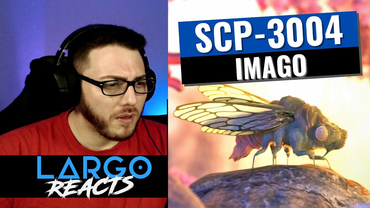 SCP-3004 IMAGO — Ларго реагирует