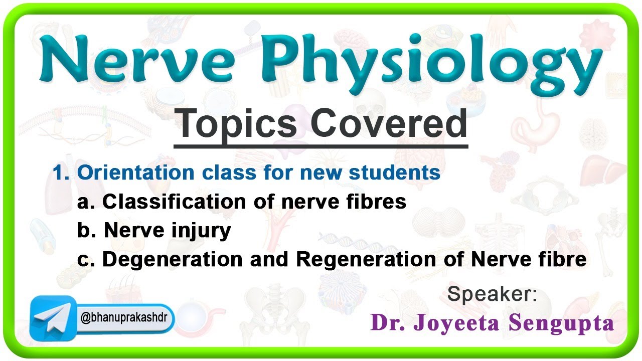 Nerve Physiology: Classification of nerve fibers, Degeneration and regeneration of nerve fibers