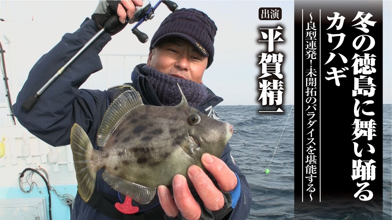 #556 冬の徳島に舞い踊るカワハギ～良型連発！未開拓のパラダイスを堪能する～