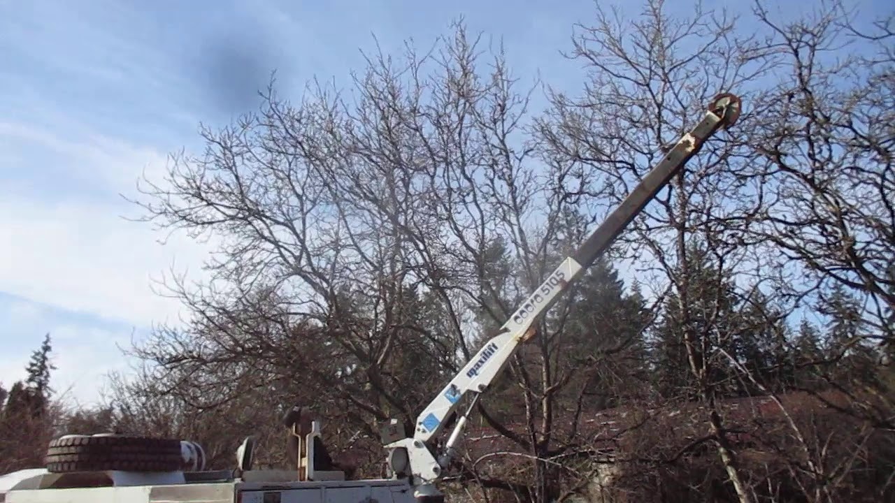 2006 Cobra 5105 crane
