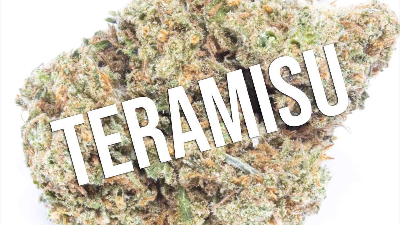 Tiramisu strains review!