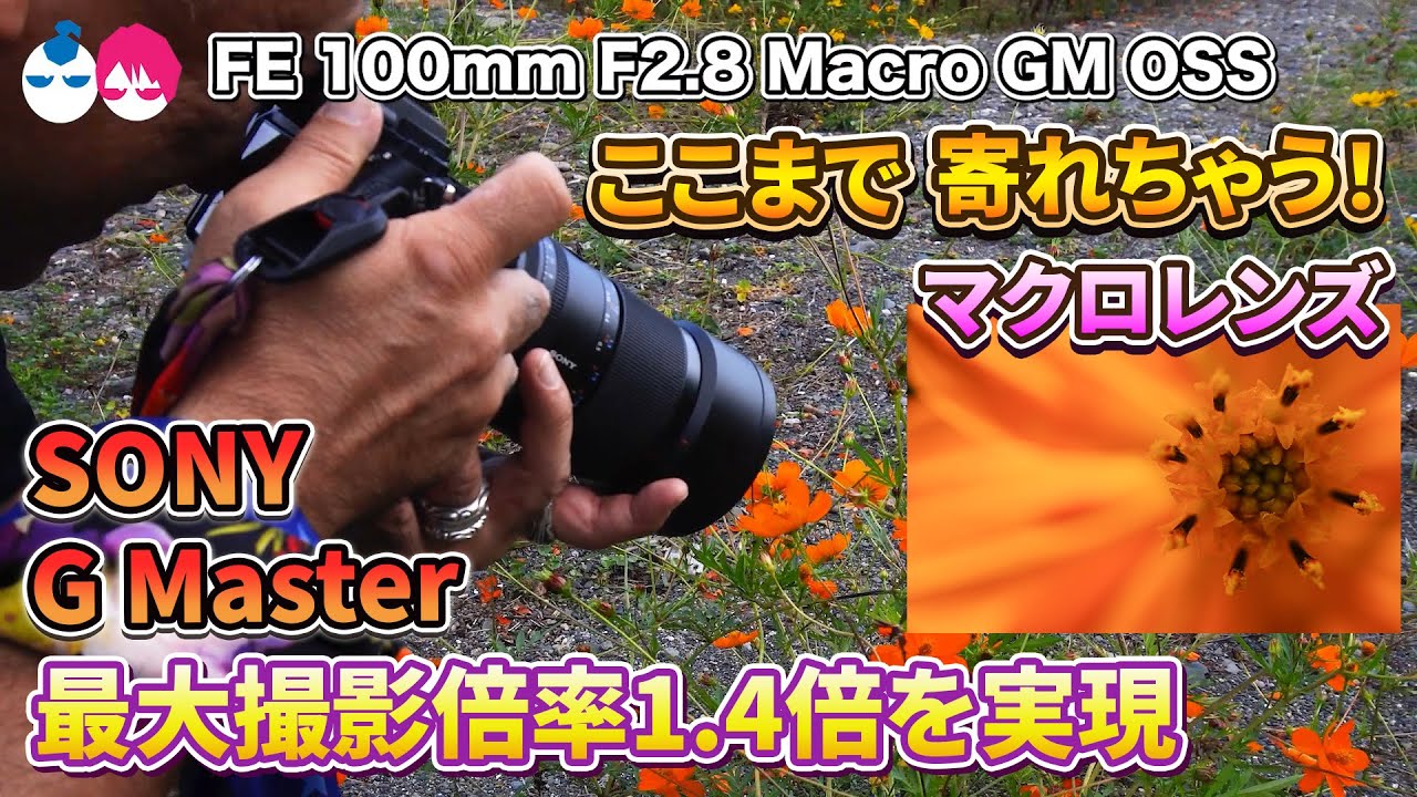速報【SONYレンズ】FE 100mm F2.8 Macro GM OSS倍率1.4倍の実力