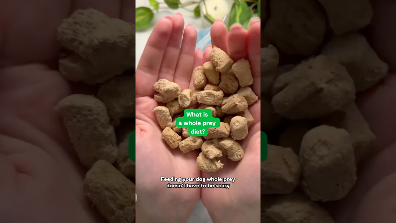Feeding a Whole Prey Diet
