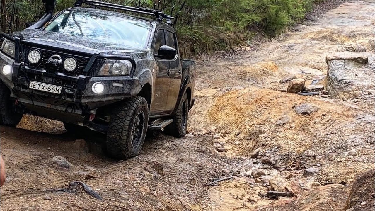 Mintbush Trail - Yalwal NSW 