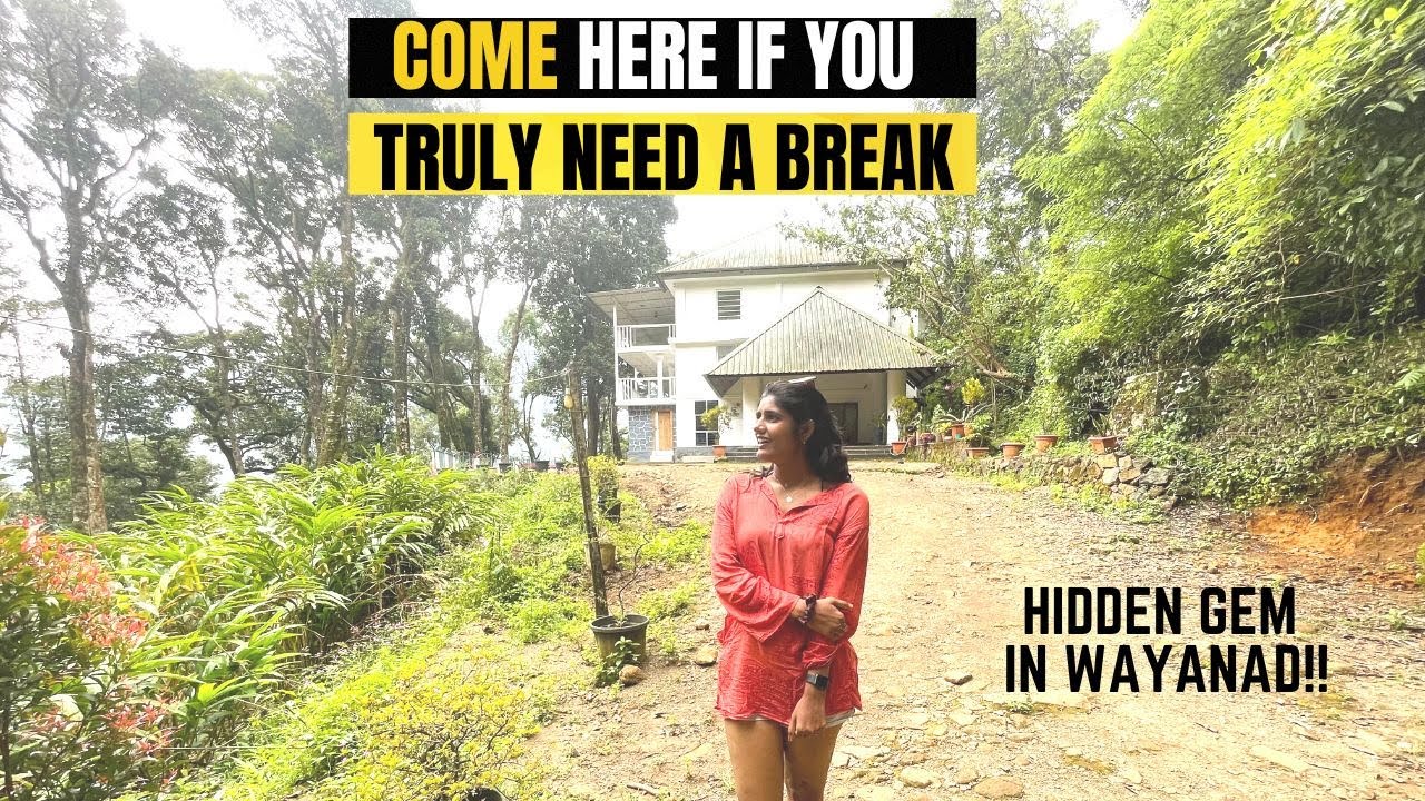 Wayanad wild stay | Wayanad affordable resorts | Trekking in wayanad Kerala | Infinity pool Wayanad