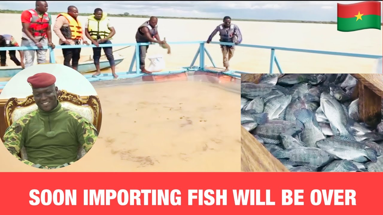 Burkina Faso Future Of Aquaculture: New Fish Farming Techniques 
