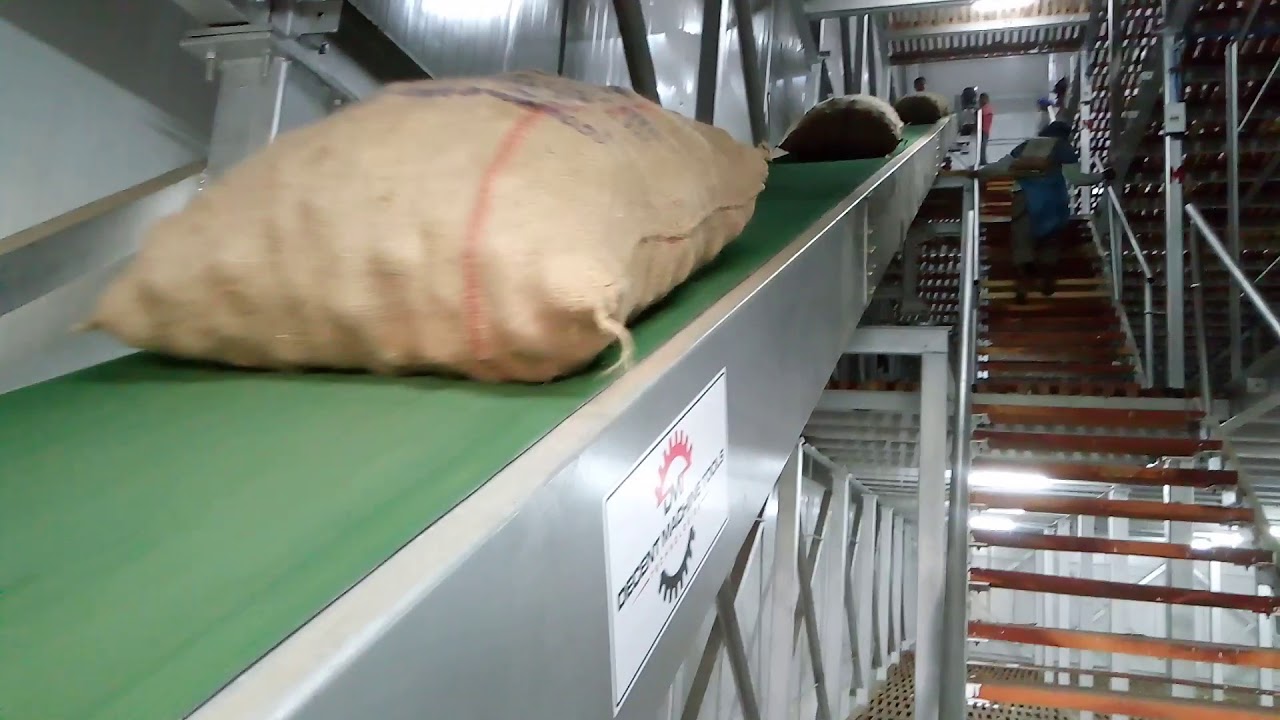 cold storage conveyor