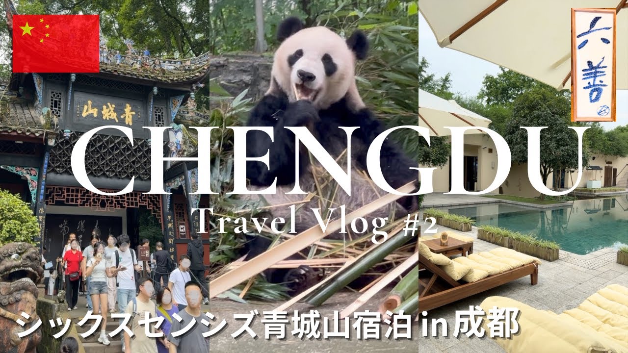 【成都Vlog②】パンダ天国で癒される💞 中国唯一のシックスセンシズに宿泊して世界遺産巡り｜青城山｜都江堰｜都江堰パンダ基地｜Six Senses｜成都4大パンダ基地情報まとめ！