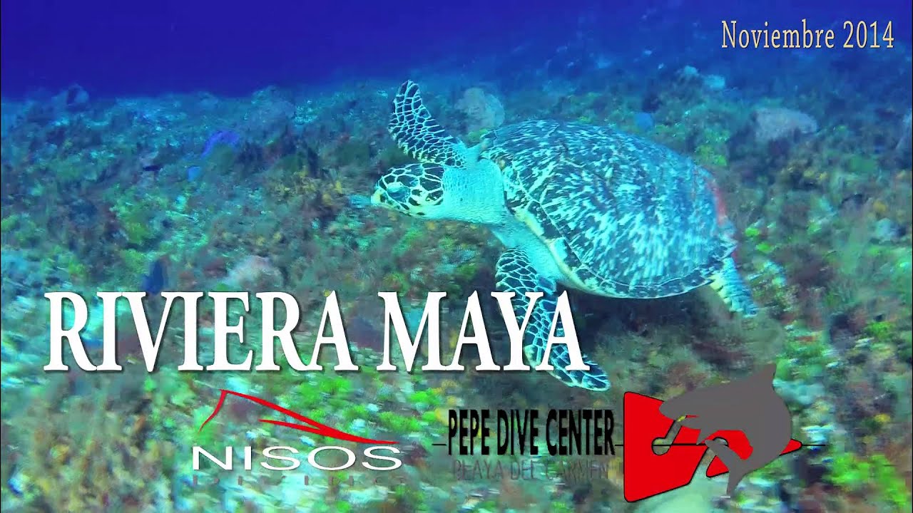 Scuba diving at RIVIERA MAYA