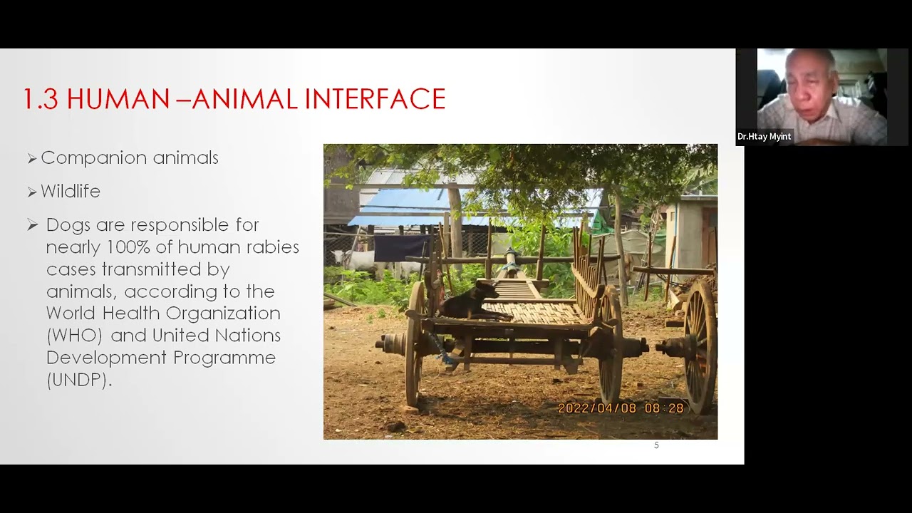 Rabies Prevention by Dr Soe Min-Vet Surgeon