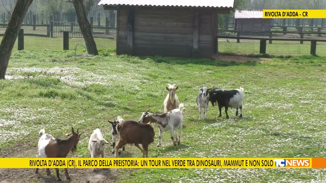 Rivolta D'Adda, il parco della preistoria: un tour nel verde tra dinosauri, mammut e non solo