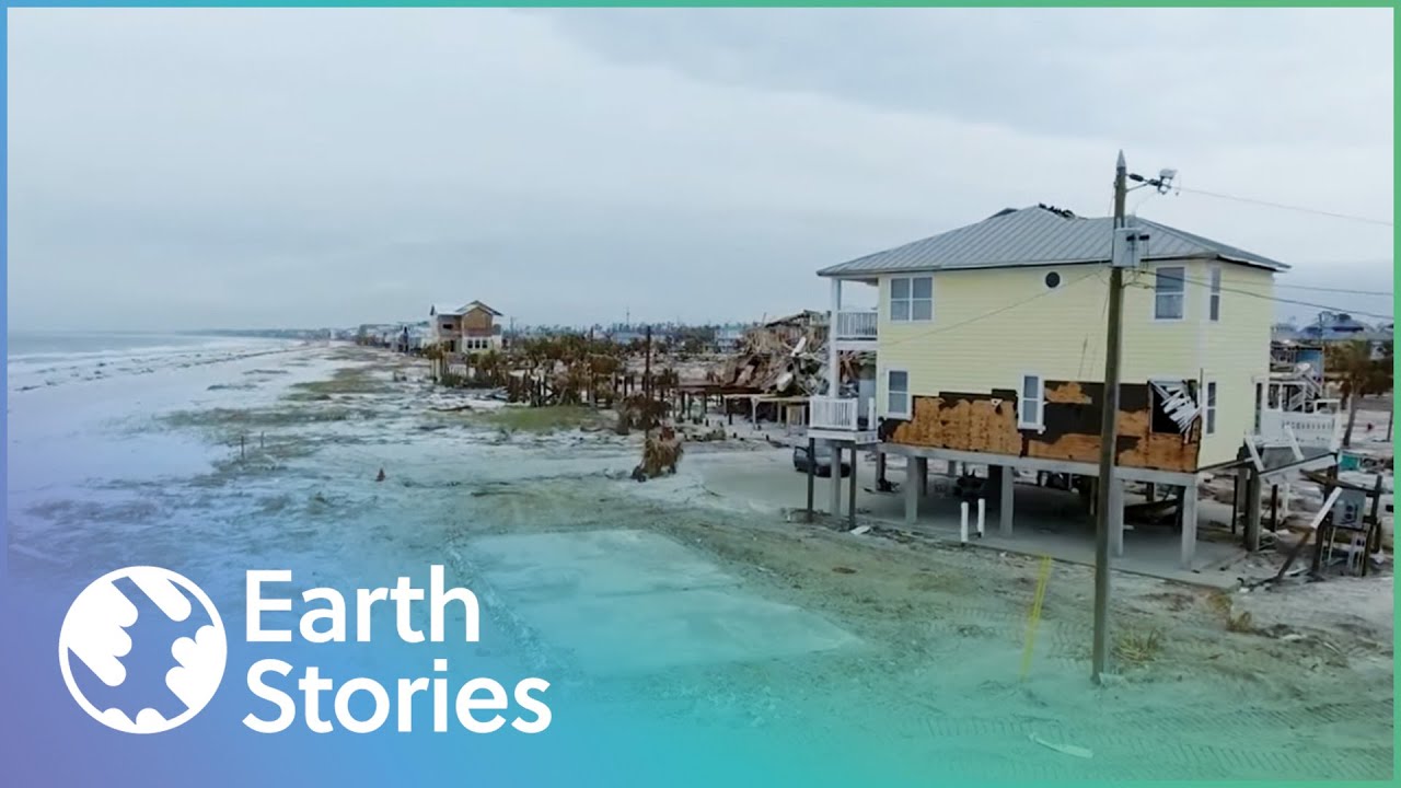 How Construction Companies Profit From Hurricanes | The Last House Standing