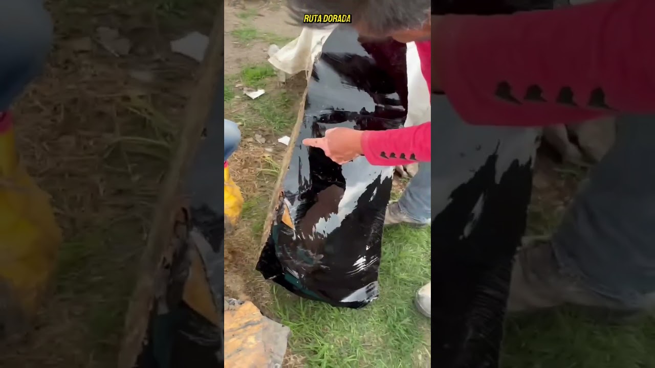 ¡ESTA ROCA PODRÍA SER MÁS PELIGROSA DE LO QUE IMAGINAS! “ UNA ROCA MISTERIOSA OBSIDIANA”