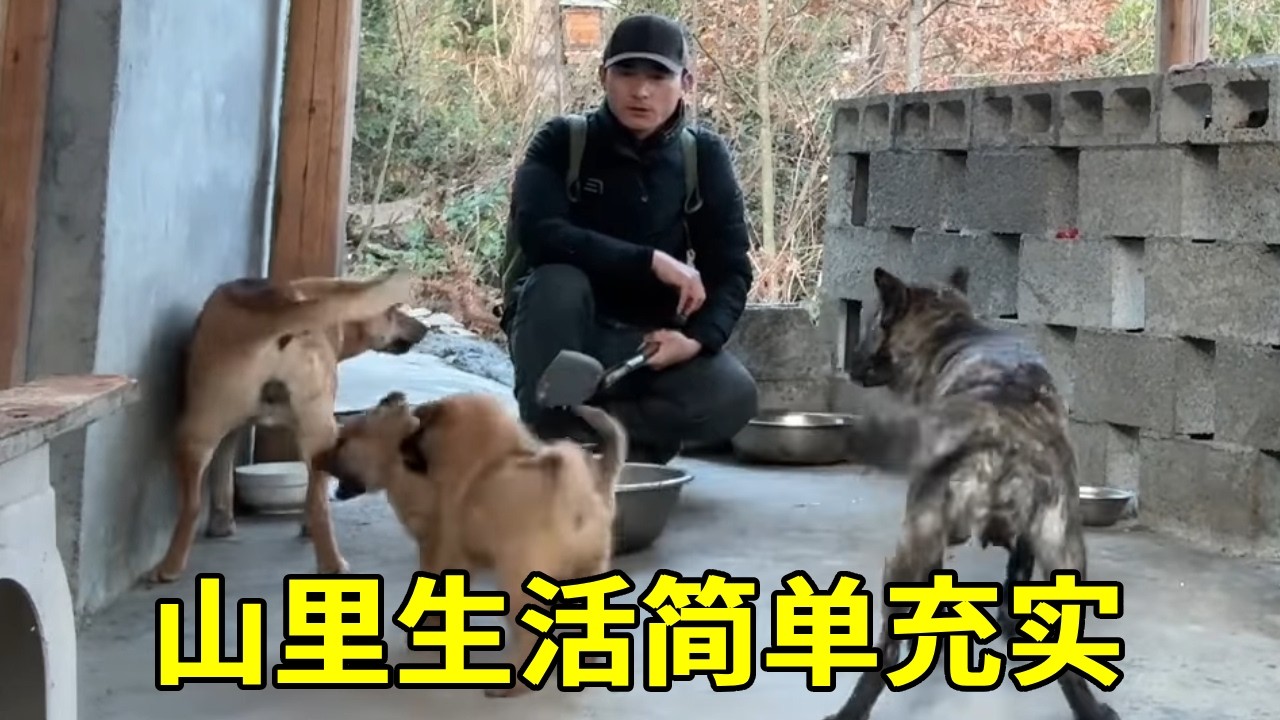我们的山里生活，日子过得简单又充实【乡野志刚】