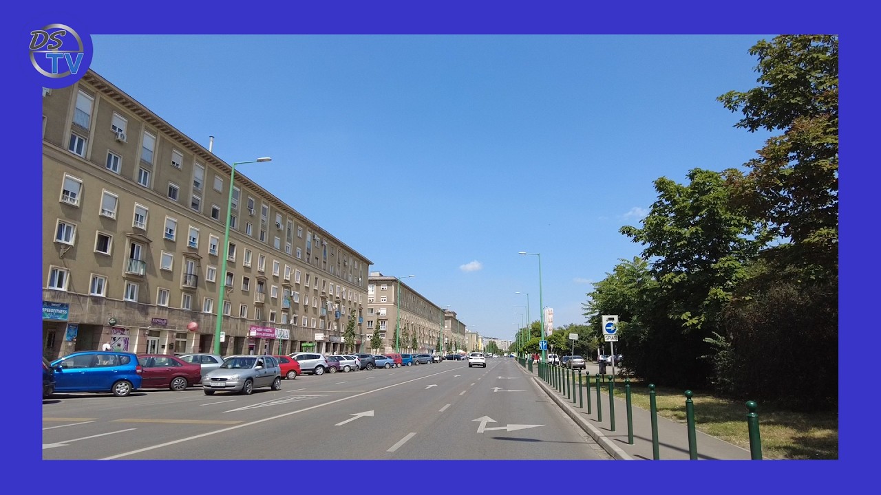 DSTV | DIÁKOKAT KÉRDEZTÜNK