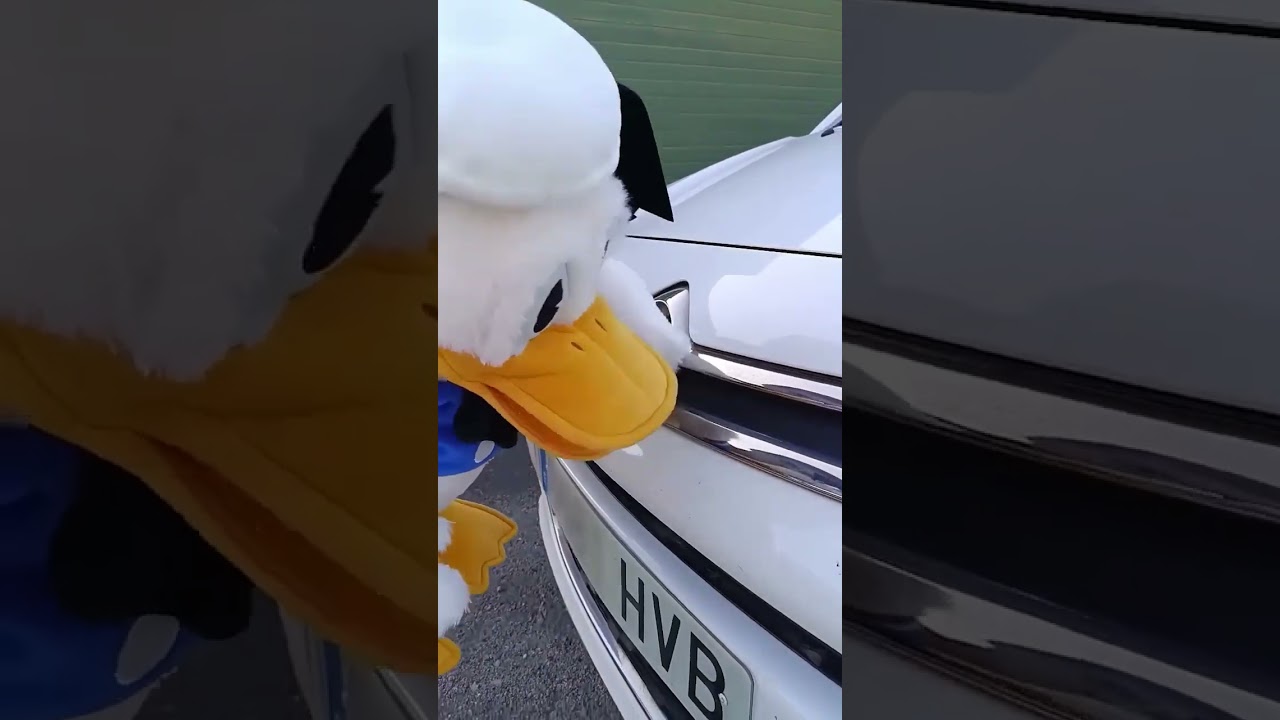 #donalduck #patodonald #doblaje #donald #disney #bentleygirl #humor #denmark #followme #dansk