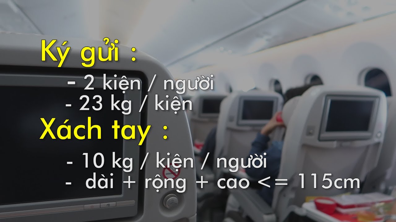TRÃI NGHIỆM THÚ VỊ ĐI MÁY BAY TỪ VIỆT NAM ĐẾN MỸ : Fly from Tan Son Nhat to Tokyo (1/3)