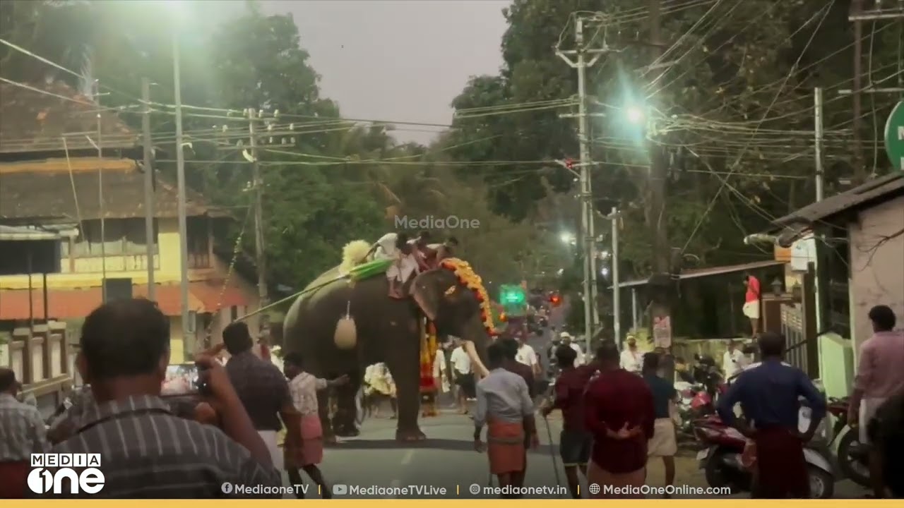 'ഒന്ന് മിണ്ടാതെയിരിയടാ, ആനയെ കണ്ടില്ലേ...' തൃശൂർ കുന്നംകുളത്ത് ഉത്സവത്തിനിടെ ആനയിടഞ്ഞപ്പോൾ...