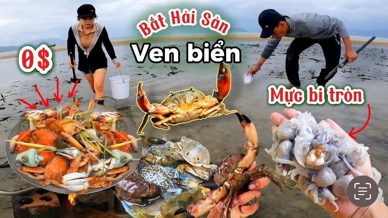 Săn bắt ven biển phát hiện nhiều hải sản bị khô cạn trong đêm khi nước rút | hunting coastal seafood