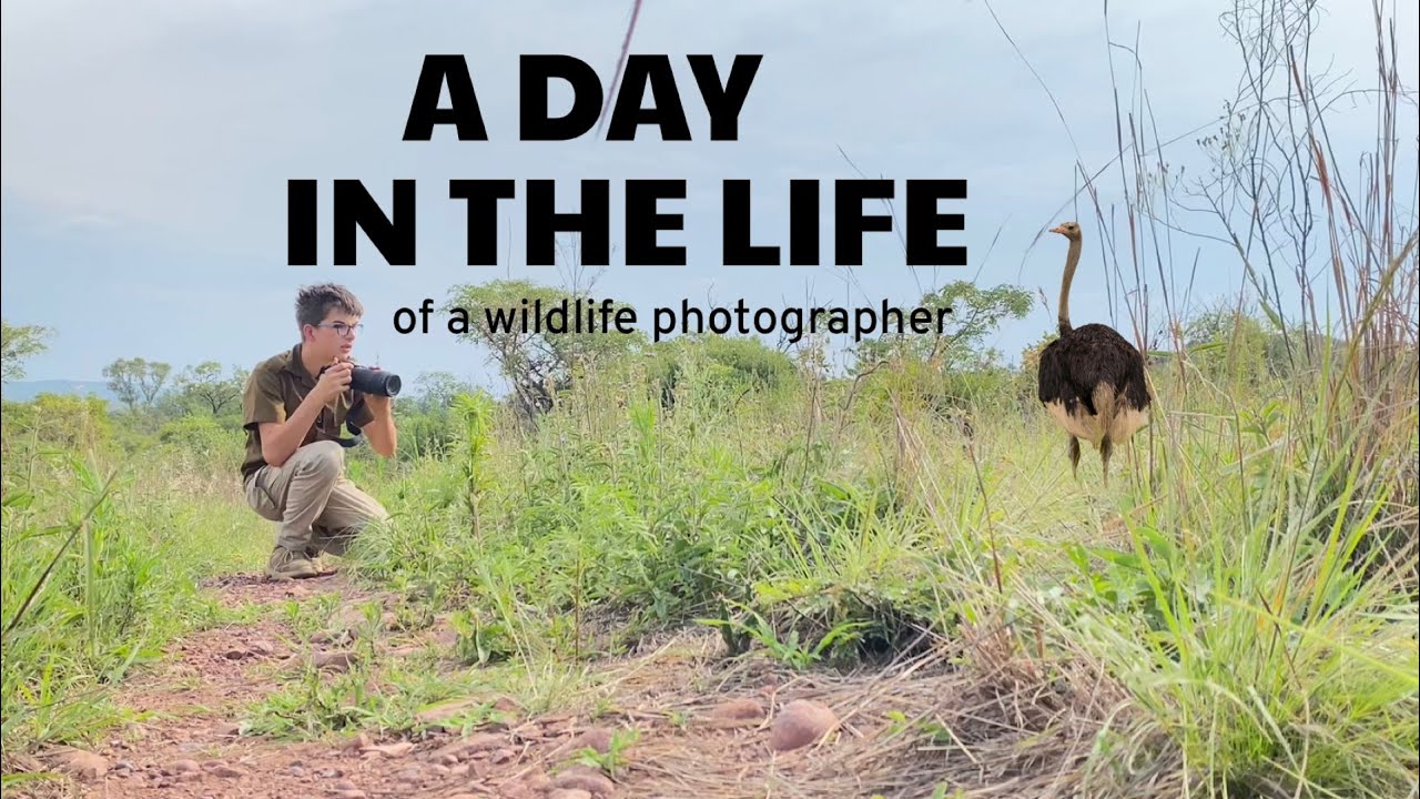 Day in the life of a 15 year old wildlife photographer!