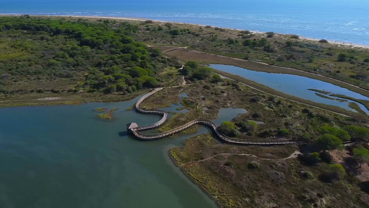 Porto Caleri e Rosolina in MTB