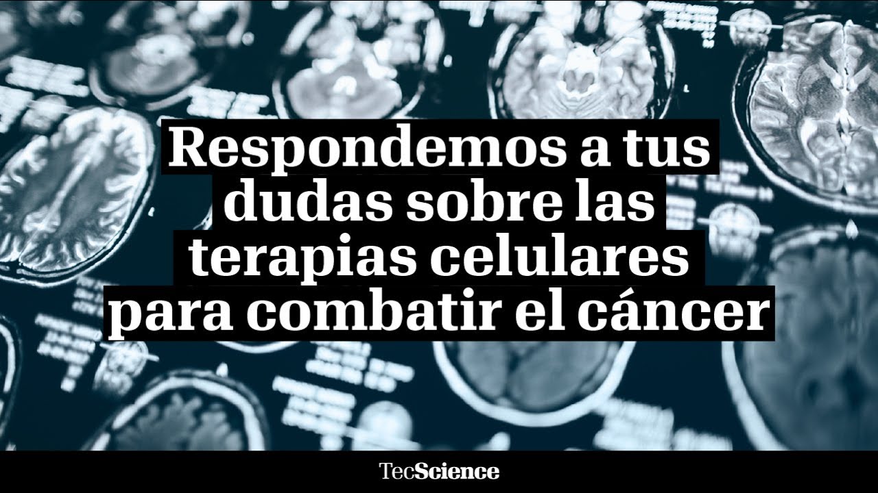 ¿Qué es la terapia celular y cómo funciona para combatir al cáncer?