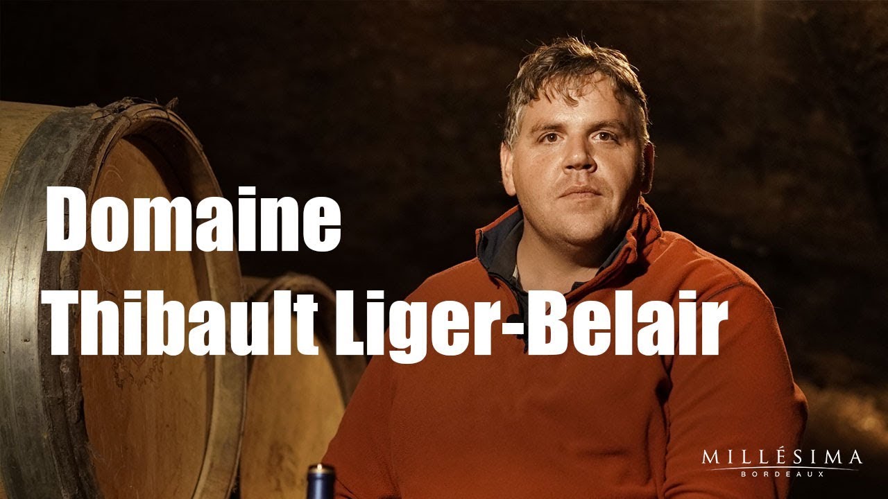DOMAINE THIBAULT LIGER-BELAIR - BOURGOGNE - MILLESIMA