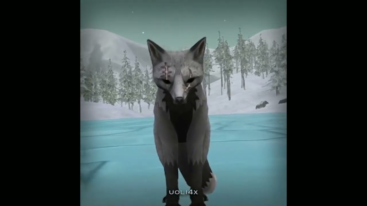 Подборка видео из тик ток | Wildcraft video compilation Tik Tok