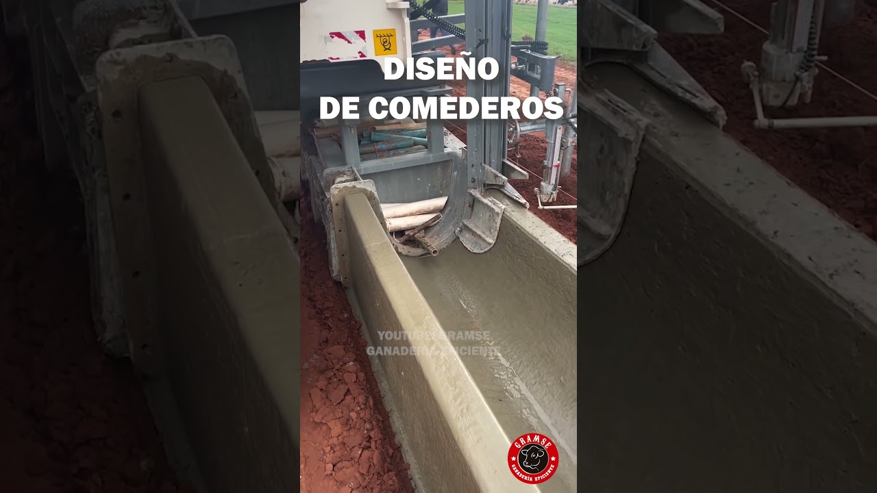 El dise&ntilde;o de comederos y de corrales es lo mas importante #corral #vaca #vacas #toros #ganaderia