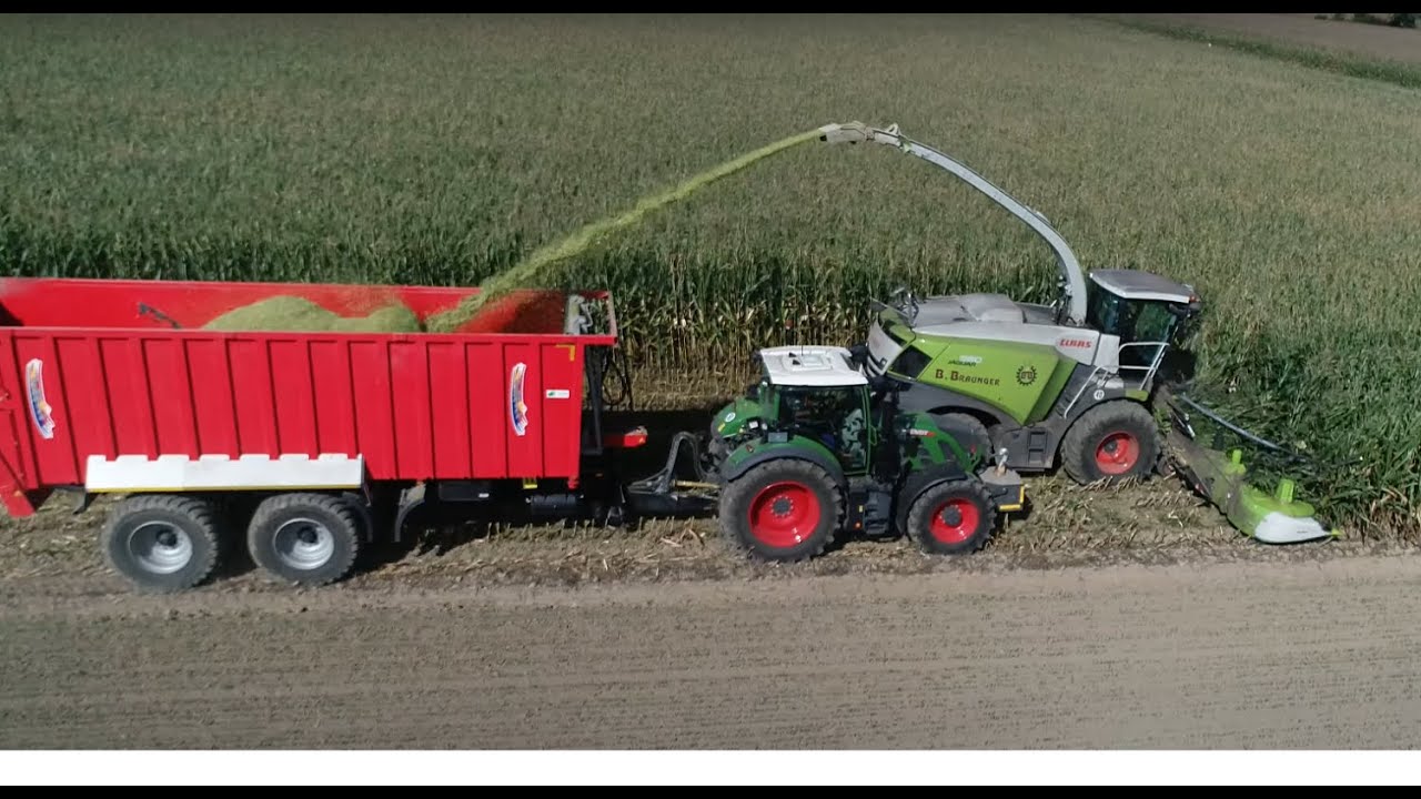 Maishäckseln 2023 LU B.Braunger mit Claas Jaguar 980 und 12 Reiher, Oberland Service mit Fendt [4K]