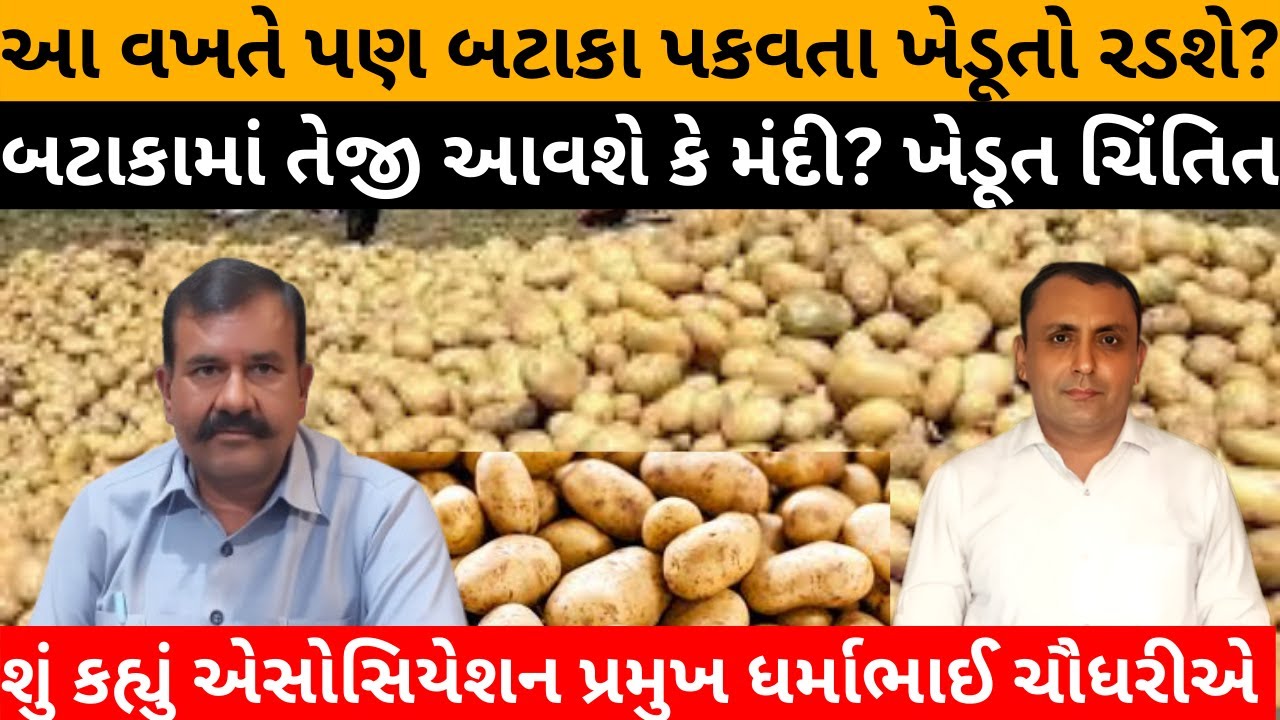 Batakaમાં તેજી આવશે કે મંદી? Khedut ચિંતિત ,.શું કહ્યું એસોસિયેશન પ્રમુખ ધર્માભાઈ ચૌધરીએ સાંભળો.