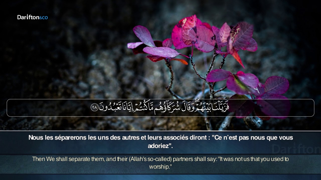Sourate Yunus - Hamza Maaz سورة يونس حمزة معاذ
