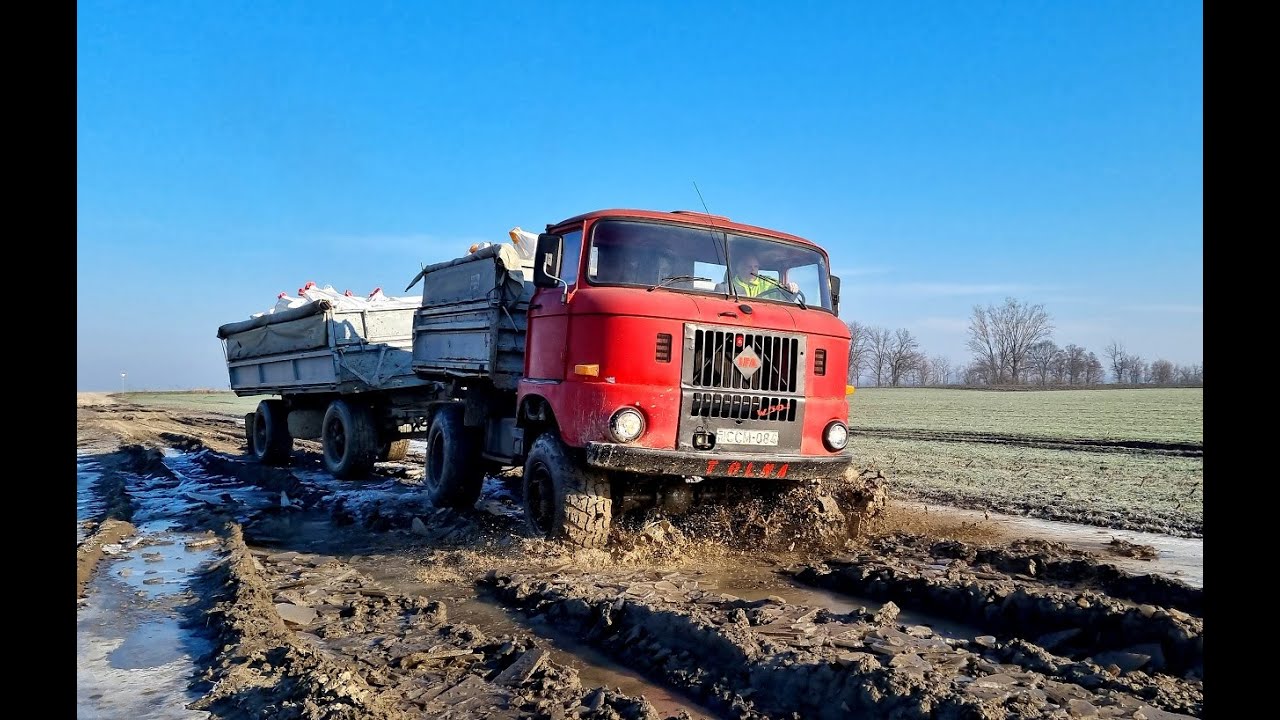 IFA W50 + HW 80 11 Műtrágyaszállítás 2023