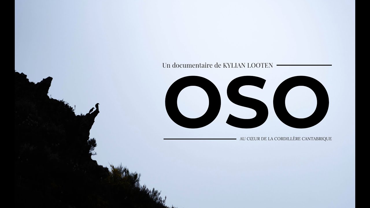 OSO, Au cœur de la cordillère cantabrique - Kylian LOOTEN