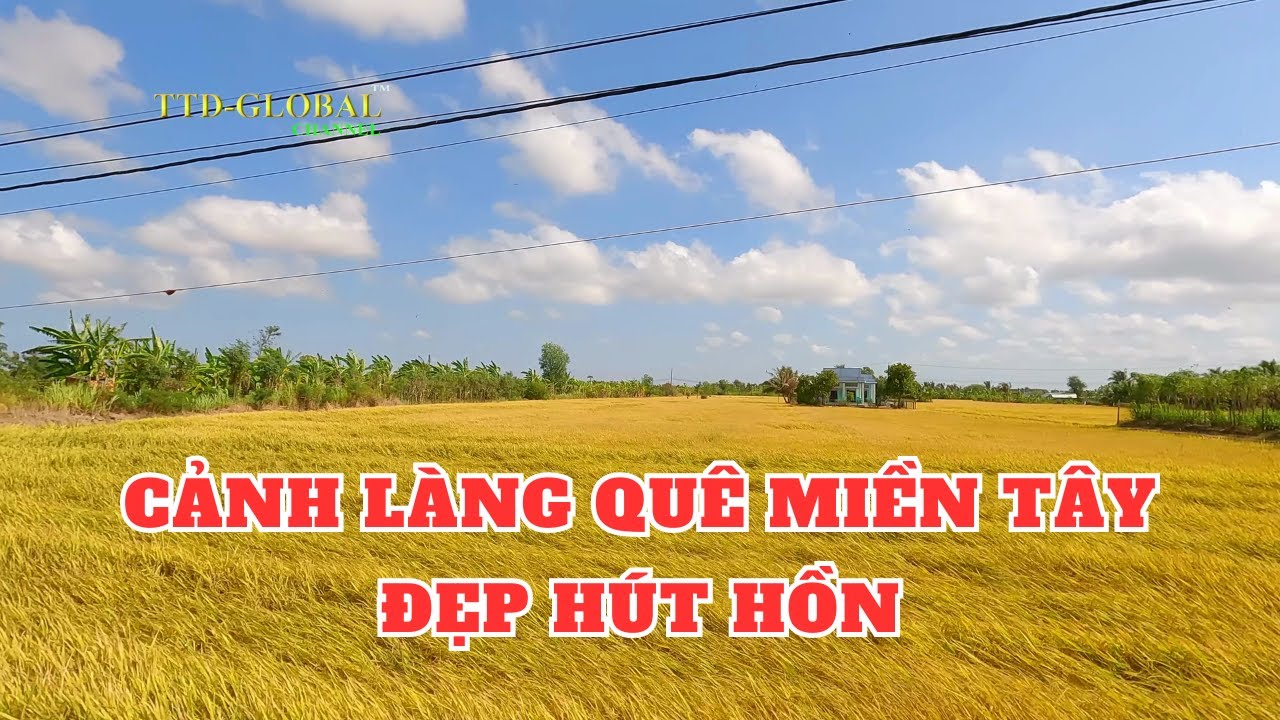 Khám phá xã Tân Phước Huyện Gò Công Đông Tiền Giang
