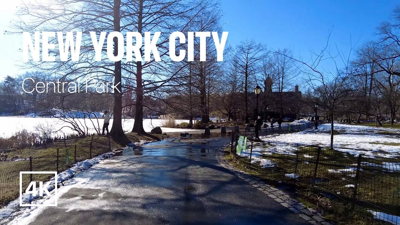 [4K] New York City 🗽 Winter Walk - Central Park's Harlem Meer [Feb. 2021]