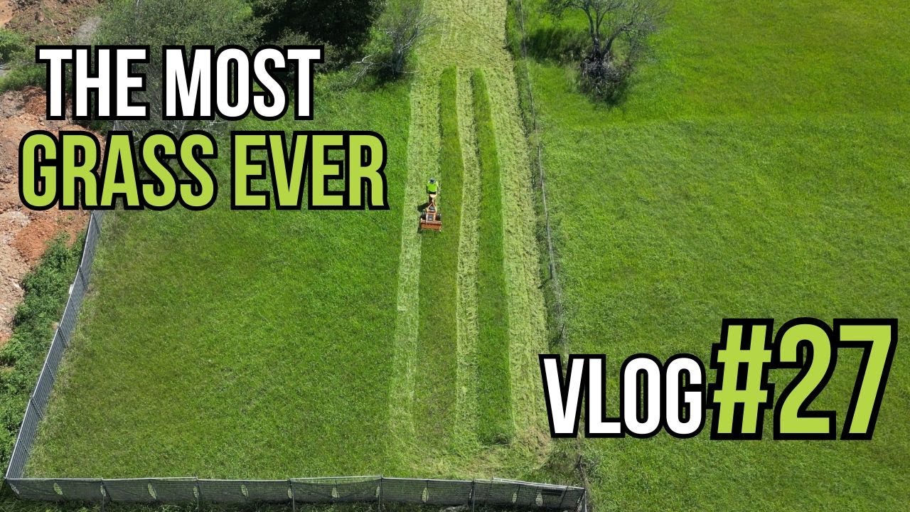 VLOG #27 Will this mower get through this yard???