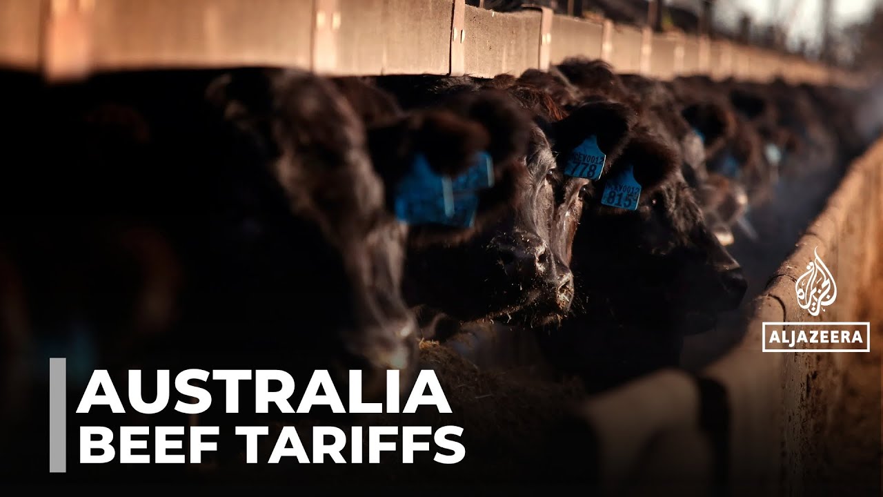 Beef exports to China: Australian farmers concerned about cap, new tariffs