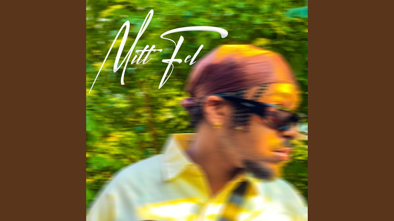 Mitt fel