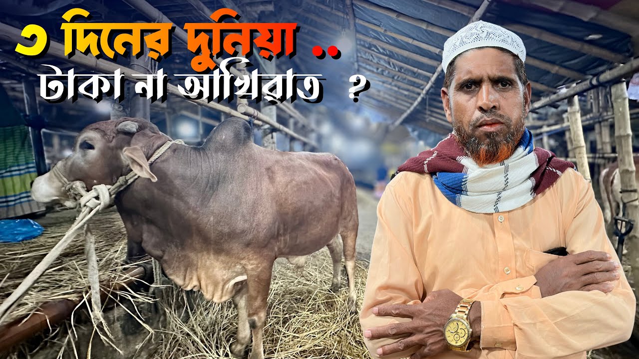 ২০ ফেব্রুয়ারি ২০২৬ | গাবতলী গবাদি পশুর হাটে জামালপুরের মঞ্জু ভাই | রমজানে ব্যবসা ও জীবনের সত্য কথা