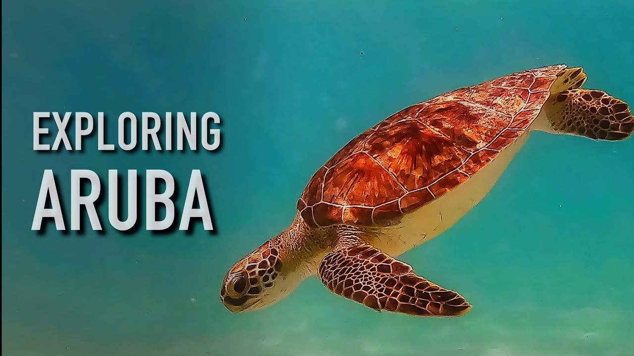 Aruba Travel Guide | The Caribbean's Best Beaches