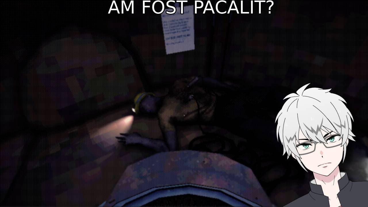 Am fost PACALIT sa muncesc pana MOR!! | Descend