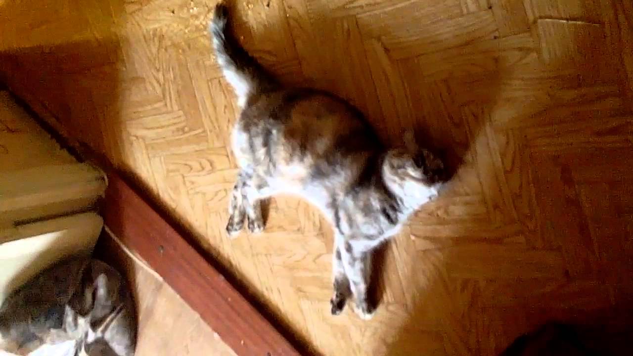 Судорога !