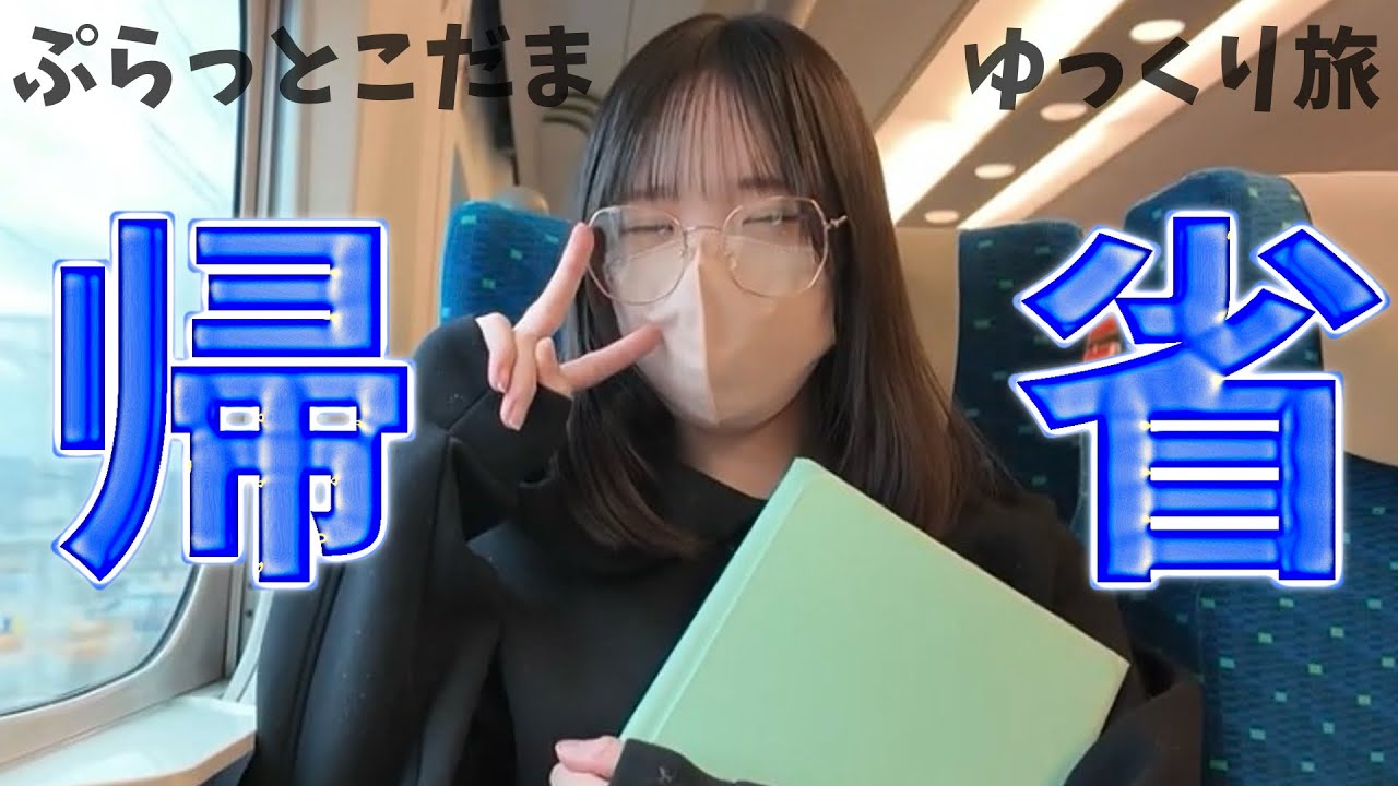 ぷらっとこだまでゆるっと帰省【新幹線】【vlog.】