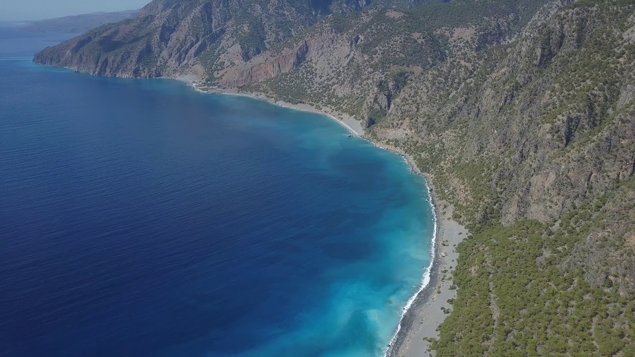 Livaniana